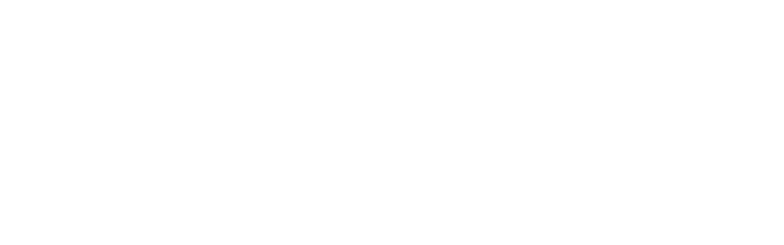 plastie